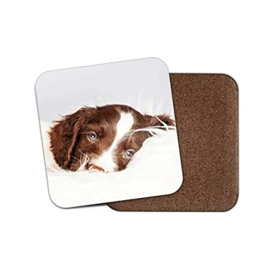 Image of 1 x Spaniel Puppy Coaster Springer Cocker Dog Cute Mum Daughter Sister #8672