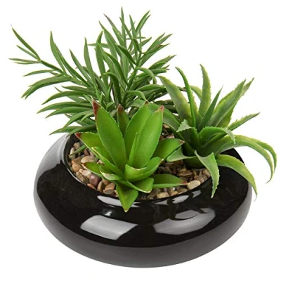 Image of Briful Artificial Succulent Plants Fake in Round Ceramic Pot Faux Potted Plant Succulents Arrangement Indoor for Office Desk Decor Decorative Home Accessories