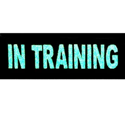 Image of Glow in Dark Training Service Animal Vests/Harnesses Emblem Embroidered Fastener Hook &amp; Loop Patch, 4 X 1.5 Inch