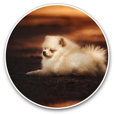 Image of 2 x 30cmVinyl Stickers Cute Peranian Puppy Dog Decals for Car Van Luggage Scrap Book Fridge #2693