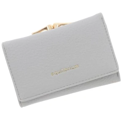 Image of Equilibrium Magnetic Clasp Closure RFID Blocker Small Purse for Cards and Cash Multi Compartment Black, Sage or Grey Designs (Grey)