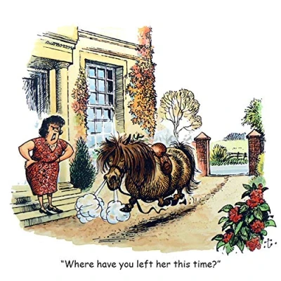 Image of Thelwell Horse riding greeting card. Fallen rider. Fun cartoon