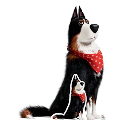 Image of Star Cutouts Ltd SC1377 Rooster Sheepdog Secret Life of Pets Lifesize Cardboard Cutout/Standee/Standup Height 127cm Width 99cm Perfect for Fans, Collectors and Events, Multicolour