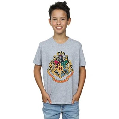 Image of Harry Potter Boys Hogwarts Crest Gold Ink T Shirt Sport Grey 5 6 Years