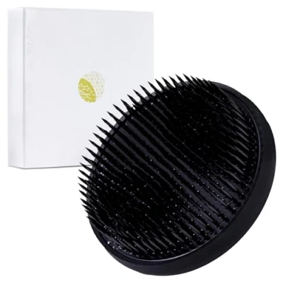 Image of Wazakura Ikebana Kenzan Japanese Flower Holder, Made in Japan, Big Size, Round (3.5 in) (Black)