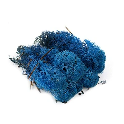 Image of War World Scenics Lichen Blue Moss Model Foliage 60g Railway Wargame Scenery Landscape Modelling Trees Bushes Hedges Diorama Basing Material