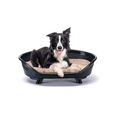 Image of Ferplast Dog Bed &amp; Cat with Cotton Cushion, Raised Bed, Plastic Medium, Washable, Basket, Breathable Antislip, THRONE 82 x 59,5 h 29,5 cm, Black