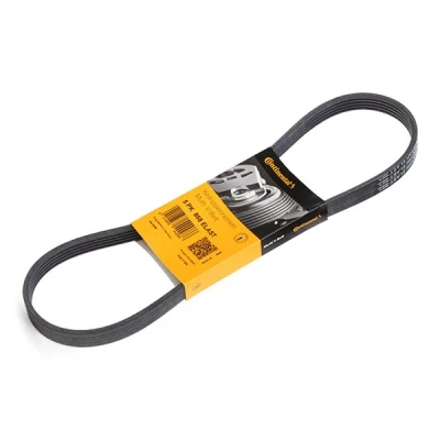 Image of 5PK850, 5PK850ELAST, 5PK868, 5PK868850ELAST, 5PK868ELAST V ribbed belt CONTITECH 5PK868 ELAST 868mm 5 FORD: FOCUS 2, 3, 3 Turnier