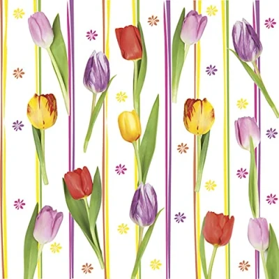 Image of DAISY 3 Ply Spring Flowers Tissue Paper Napkins Serviettes for Decoupage Lunch 33cm x Pack of 20 (Colourful Tulip Stripes)