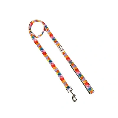 Image of Doodlebone Padded Lead, Watercolour, 25mm