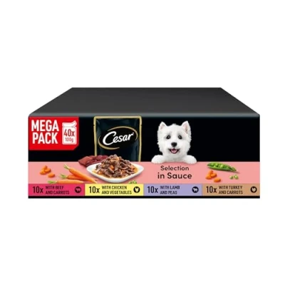 Image of CESAR Adult Dog Pouches Sauce Selection in Gravy 40x100g