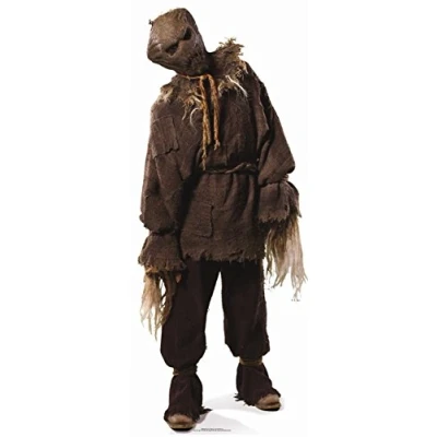 Image of Star Cutouts Ltd SC33 Lifesize Cardboard Cutout of Scarecrow Doctor Who Hallloween, Solid, Regular