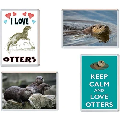Image of Otter/Otters 4 PACK Jumbo Fridge Magnet/Magnets ID349