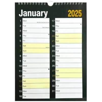 Image of 2025 WALL CALENDAR HOME OFFICE, EASY LARGE MONTH TO VIEW (Large Print Planner)
