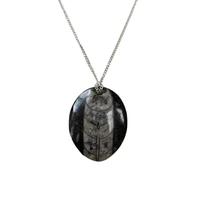 Image of VIE Chakra Fossil Pendant, Orthoceras, Teardrop, 30mm