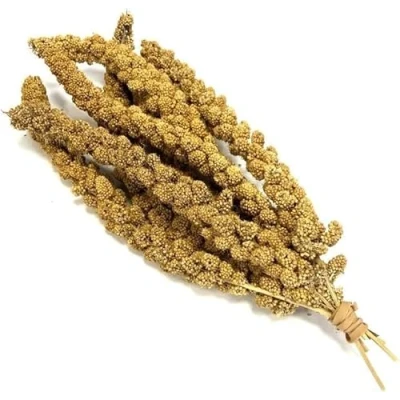 Image of *NEW* Millet Sprays x 3 Premium Cage Bird Food Seed