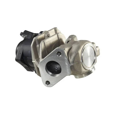 Image of 1333611, 1363591, 1479845, 1682736, 2S6Q9D475BA EGR valve HELLA 6NU 010 171 111 FORD: FIESTA 6, Fusion Estate, 5, PEUGEOT: Bipper Van