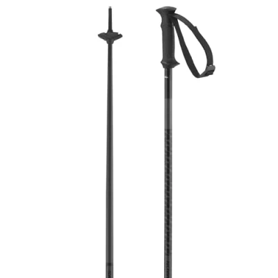 Image of Salomon POLAR ACCESS Black 120
