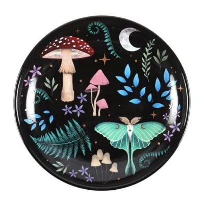 Image of Something Different Wholesale Nocturnal Landscape Trinket Dish: Beautiful Flora and Fauna Design Colorful Dish for Storing Trinkets Celestial Touch