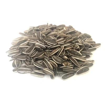 Image of 5kg Medium Sunflower Seeds Bird Parrot Food