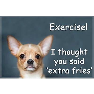 Image of Chihuahua Dog funny Fridge Magnet perfect Christmas or Birthday Gift