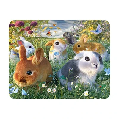 Image of 3D LiveLife Magnet Bunnies from Deluxebase. Lenticular Rabbit Fridge Magnet. Magnetic decor for kids and adults with artwork licensed renowned artist, David Penfound