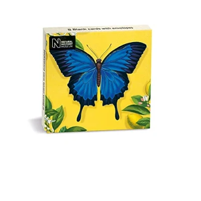Image of Natural History Museum Ulysses Butterfly 8 Mini Notecards Wallet