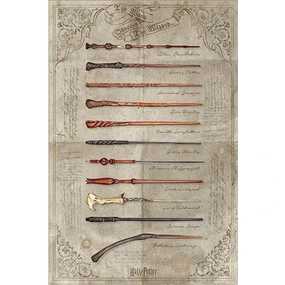Image of Laminated Harry Potter The Wand Chooses Wizard Maxi Poster