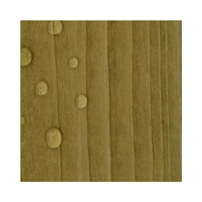 Image of Protek Timber Eco Shield Pale Green 1 Litre