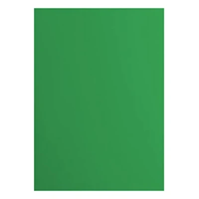 Image of Florence Cardstock Smooth Coloured Card Making Supplies A4 Green 10 Sheets Paper for Scrapbooking, Making, Die Cutting and Crafts 216 GSM Holly