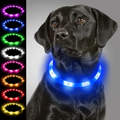 Image of Joytale Light Up Dog Collar,LED Flashing Collar for Night Walking, Rechargeable Glow Collars Puppy Small Medium and Large Dogs,Blue