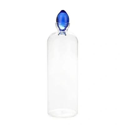 Image of Balvi bottle Gourami Colour blue Glass for water with fish shaped cap Capacity 1L Borosilicate
