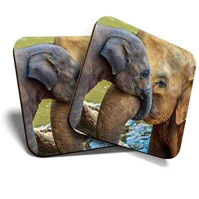 Image of Great Coasters (Set of 2) Square/Glossy Quality Coasters/Tabletop Protection for Any Table Type Cute Elephants Family Animal #3711