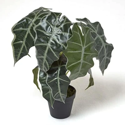 Image of HOMESCAPES Artificial Elephant Ear Plant in Pot 50 cm Tall Faux Alocasia Amazonica Polly with Real Touch Leaves for Indoor Decoration