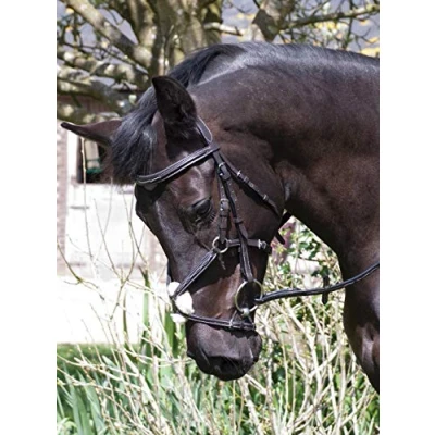 Image of Rhinegold Elegance Stitched Mexican Bridle Cob Black