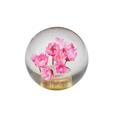 Image of JINGLINGKJ Shift Knob Gifts for Girlfriend Flower in Bubble Water Stick MT at Universal Transparent Acrylic Head Car Parts (Pink)