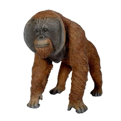 Image of Vivid Arts Active Orangutan XRL ORN4 D