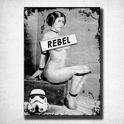 Image of DOGT Metal Tin Sign 12x16 inches Rebel Princess Leia Vintage