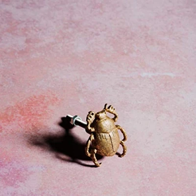 Image of Sass &amp; Belle Gold Scarab Beetle Drawer Knob