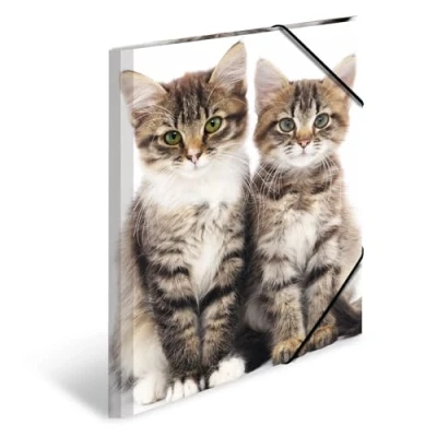 Image of HERMA Elastic Folder Animals with Cats Motif, A3, Sturdy Plastic, Inner Print, 1 Span