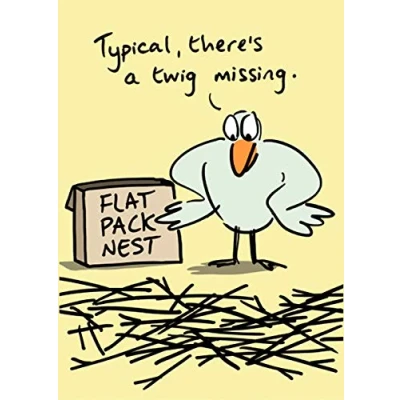 Image of Humorous Blank/Birthday Greeting Card Flat Pack Nest Neon Finish from The Birdiculous Range (LL BBR007)