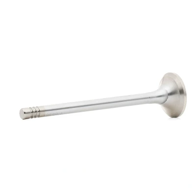 Image of 0949G2, 9490, 9676718280 Exhaust Valve BGA V165961 25mm PEUGEOT: 308 II Hatchback