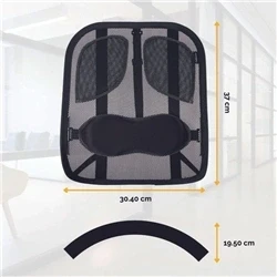 Image of Fellowes Professional Series Mesh Back Support Padded 8029901