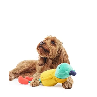 Image of Rosewood Joules Frog Dog Toy