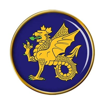 Image of 43 Wessex Brigade, British Army Pin Badge