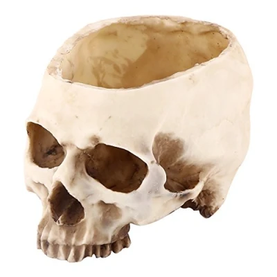 Image of LiebeWH Skull Shaped, Resin Container Planter Design Flower Pot Candy Snacks Bowl for Halloween Party/Club/Bar Big size