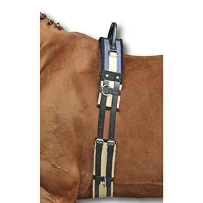 Image of HKM SPORTS EQUIPMENT 17956925.1347 1795 Lunging Belt with Grab Handle, Canvas Pony Shetty VB/WB
