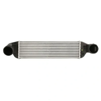 Image of 4881594 Intercooler NISSENS 96129 without EGR valve BMW: X3