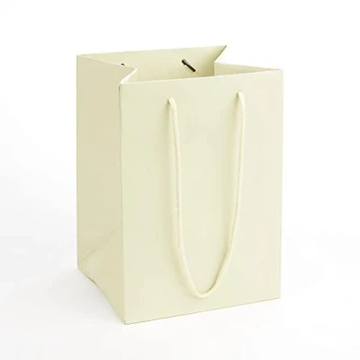 Image of Pack of 10 Rope Handle Porto Gift Bags Ivory Florist Hand Tied Flower Plant Transporter Bag