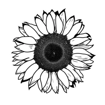 Image of Sunflower Temporary Tattoo Large Size Pack Of 4